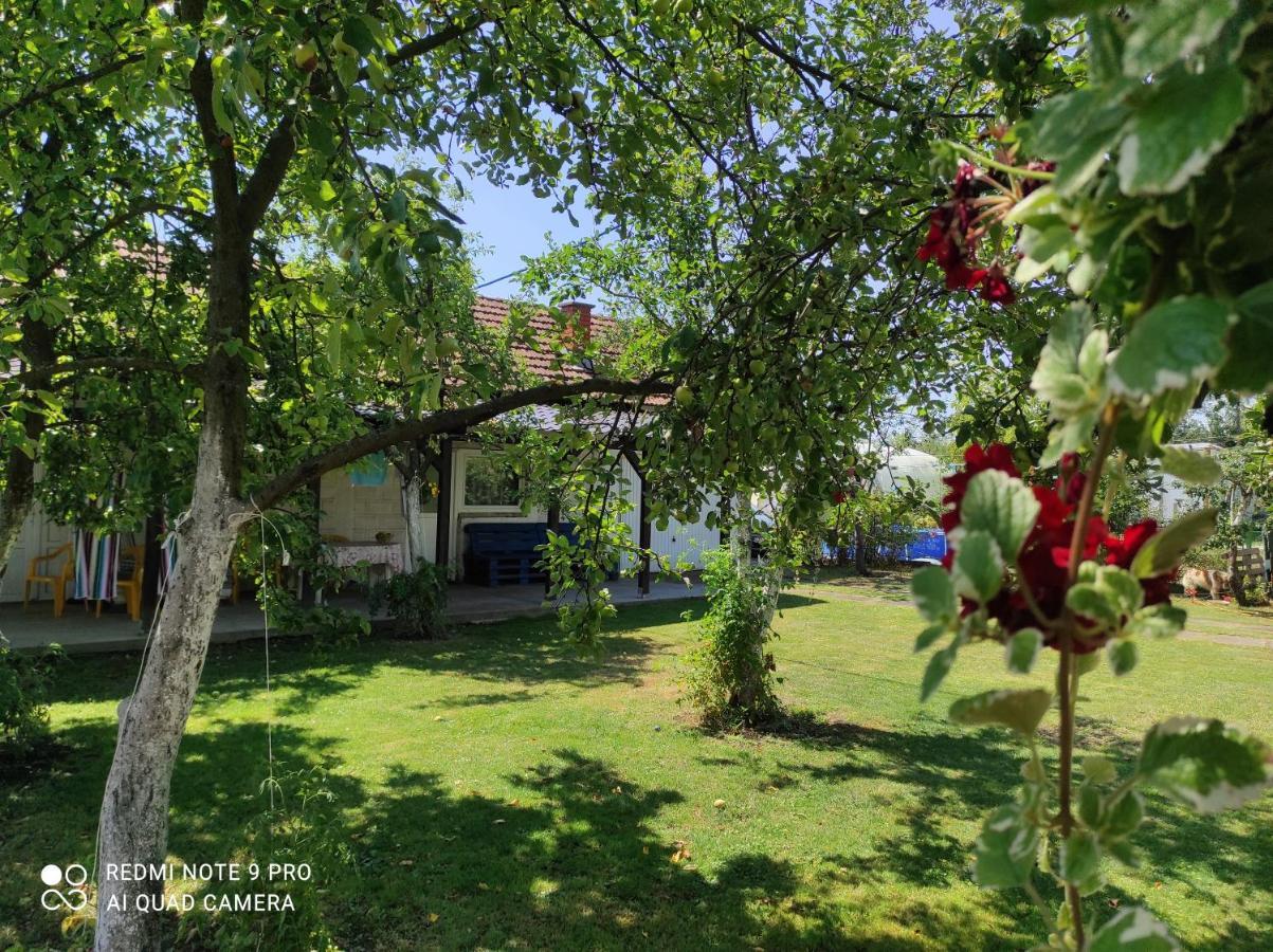 Home Of Nature - Kuca Prirode Odžak Extérieur photo